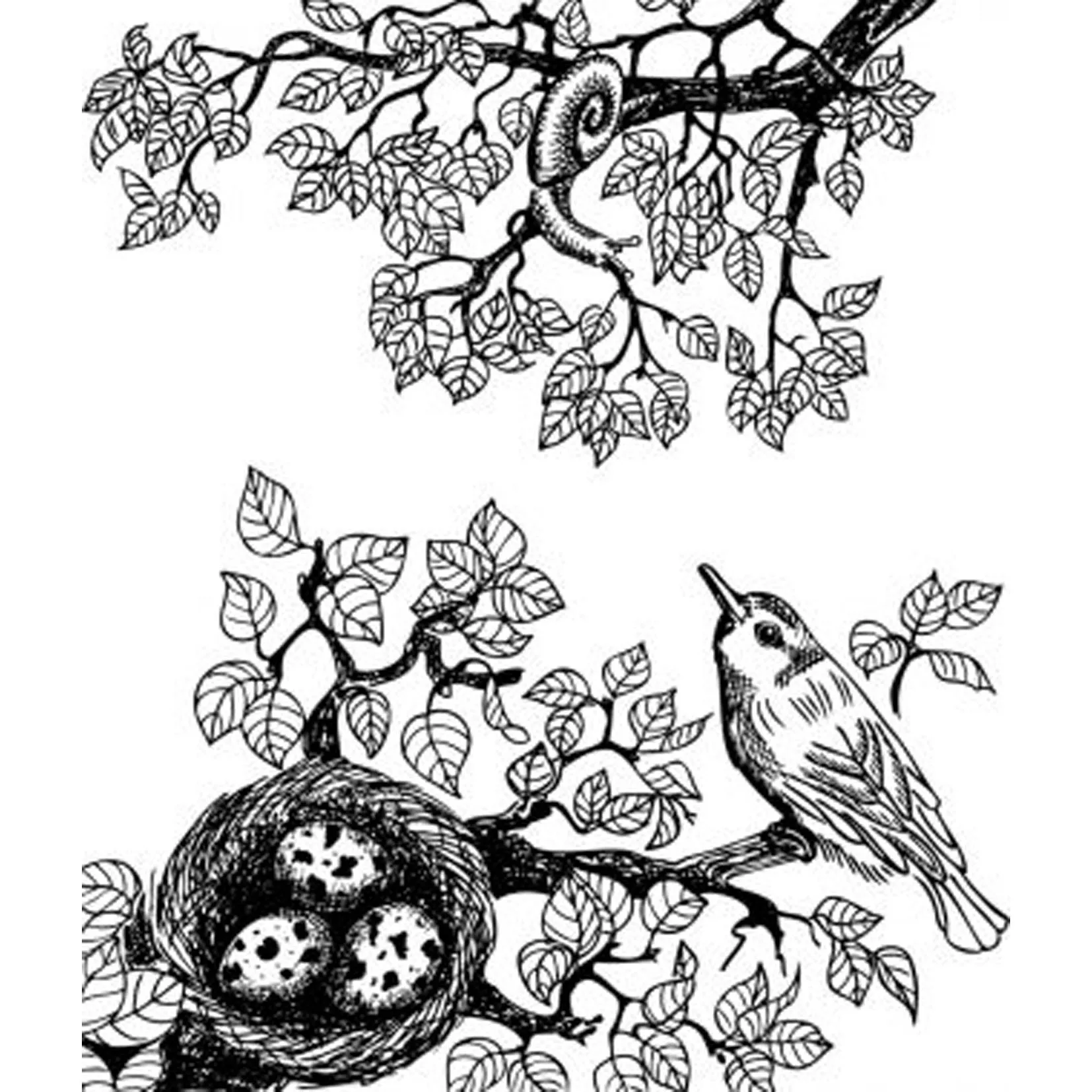 

Bird And Bird Nest On Branch Clear Stamp for Scrapbooking Rubber Stamp Seal Paper Craft Clear Stamps Card Making