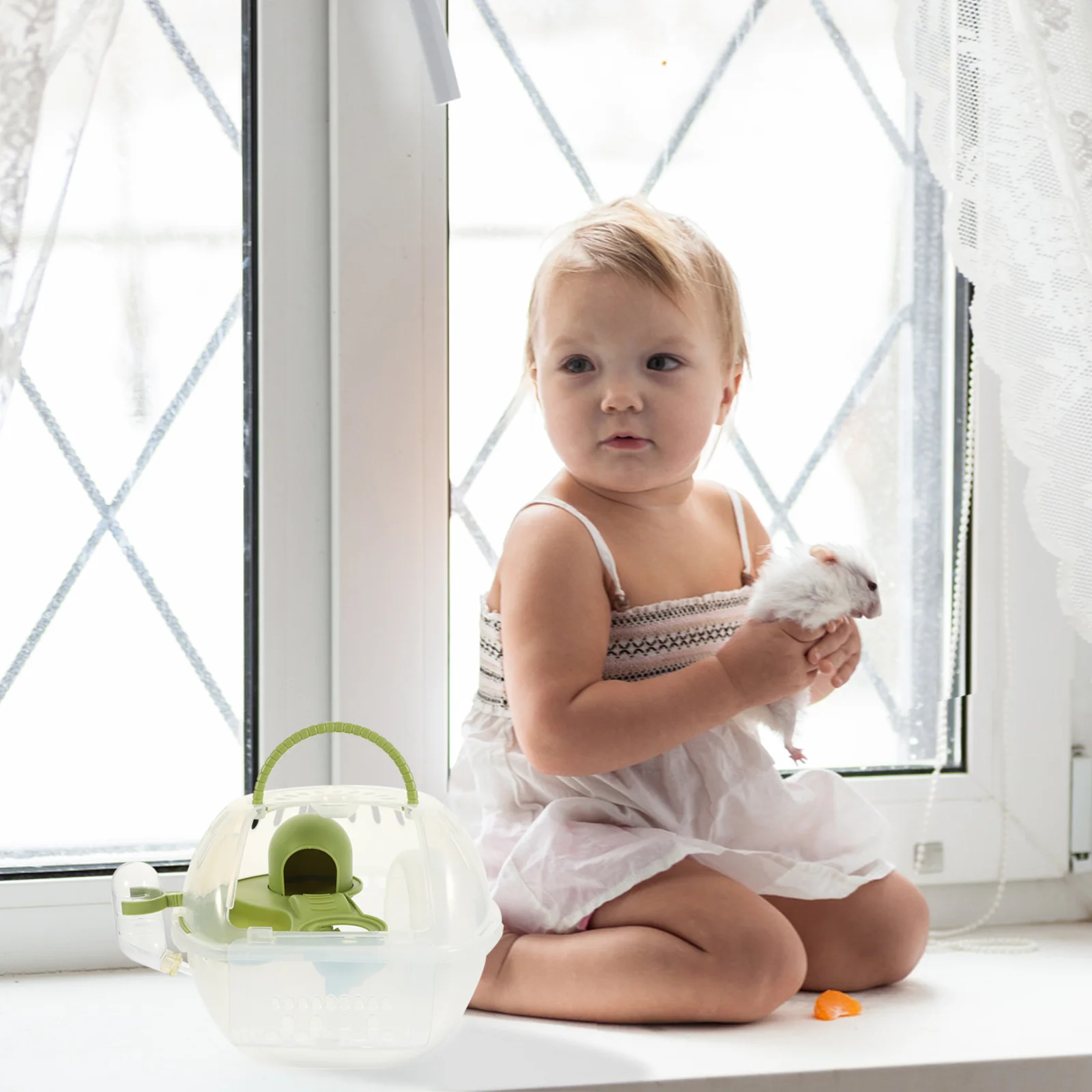 

Hamster Cage Carrier Travelhouse Box Pet Pets Portable Guinea Rat Cases Cages Carrying Outdoor Transparent Carriers Habitat