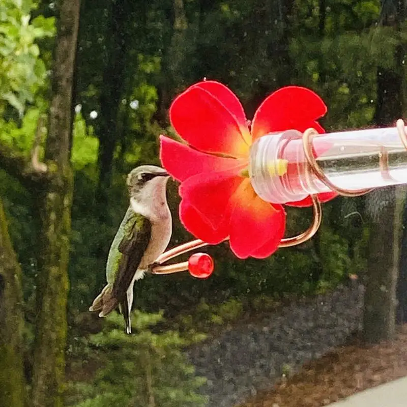 Hummingbird Feeder Long Bar Simulation Flower Animal Drinking Container With Perch For Standing Easy Filling Clear Bird Feeders