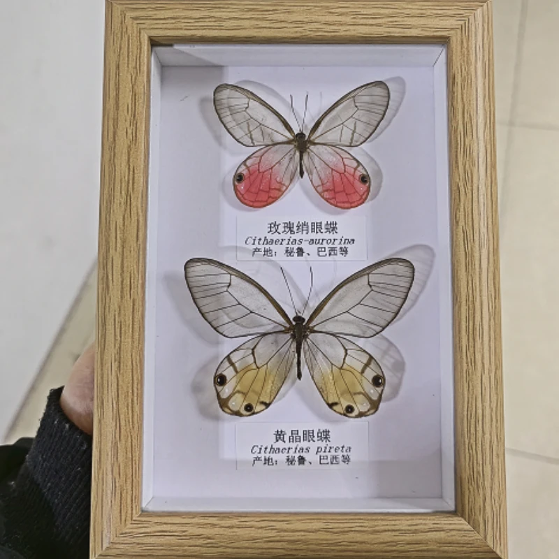 

Фоторамка с изображением настоящих бабочек, насекомых, настоящие Обучающие образцы, домашнее украшение, подарок на свадьбу, день рождения, ...