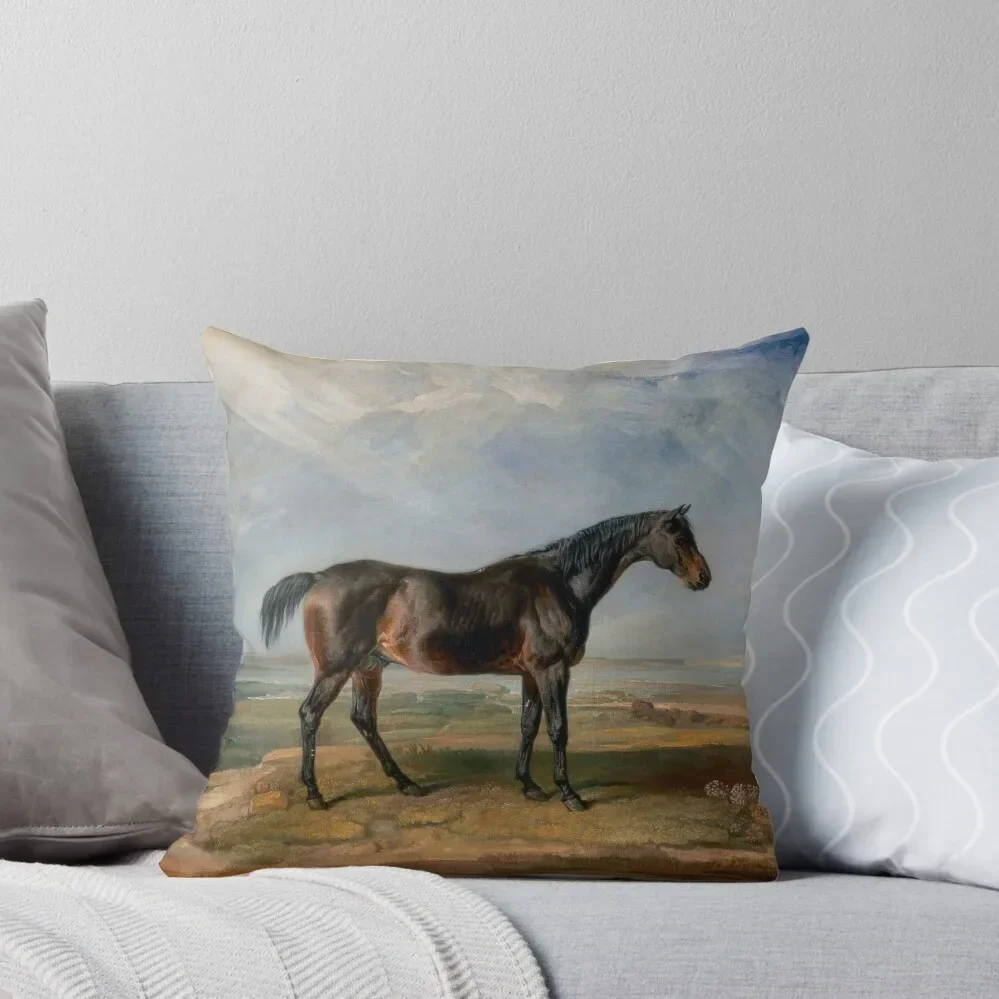 Портрет доктора Синтакса винтажная подушка с заливной лошадью декоративные