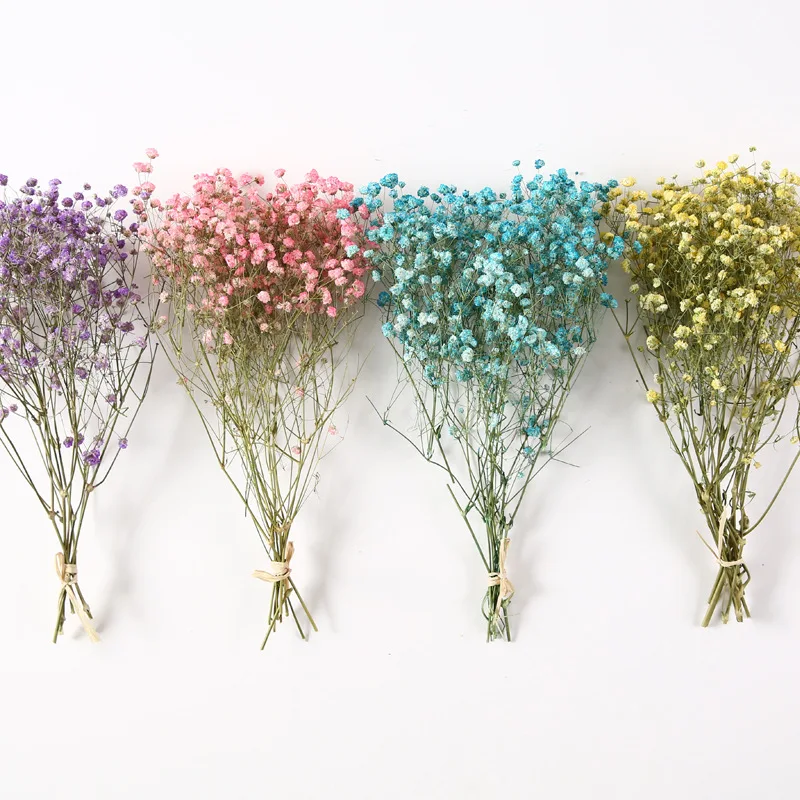 Mini Decorative Dried Flowers Babysbreath Flowers Bouquet Natural Plants Preserve Floral for Wedding Home Decoration