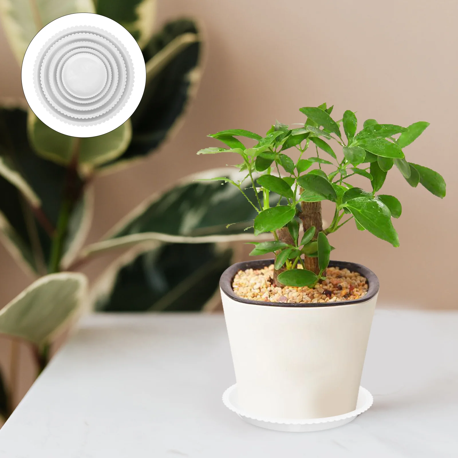 

Pottray Flower Saucer Trays Saucers Round Planter Bonsai Drip Plate Succulent Flowerpot Dish Water Holdergarden Base Jewelry