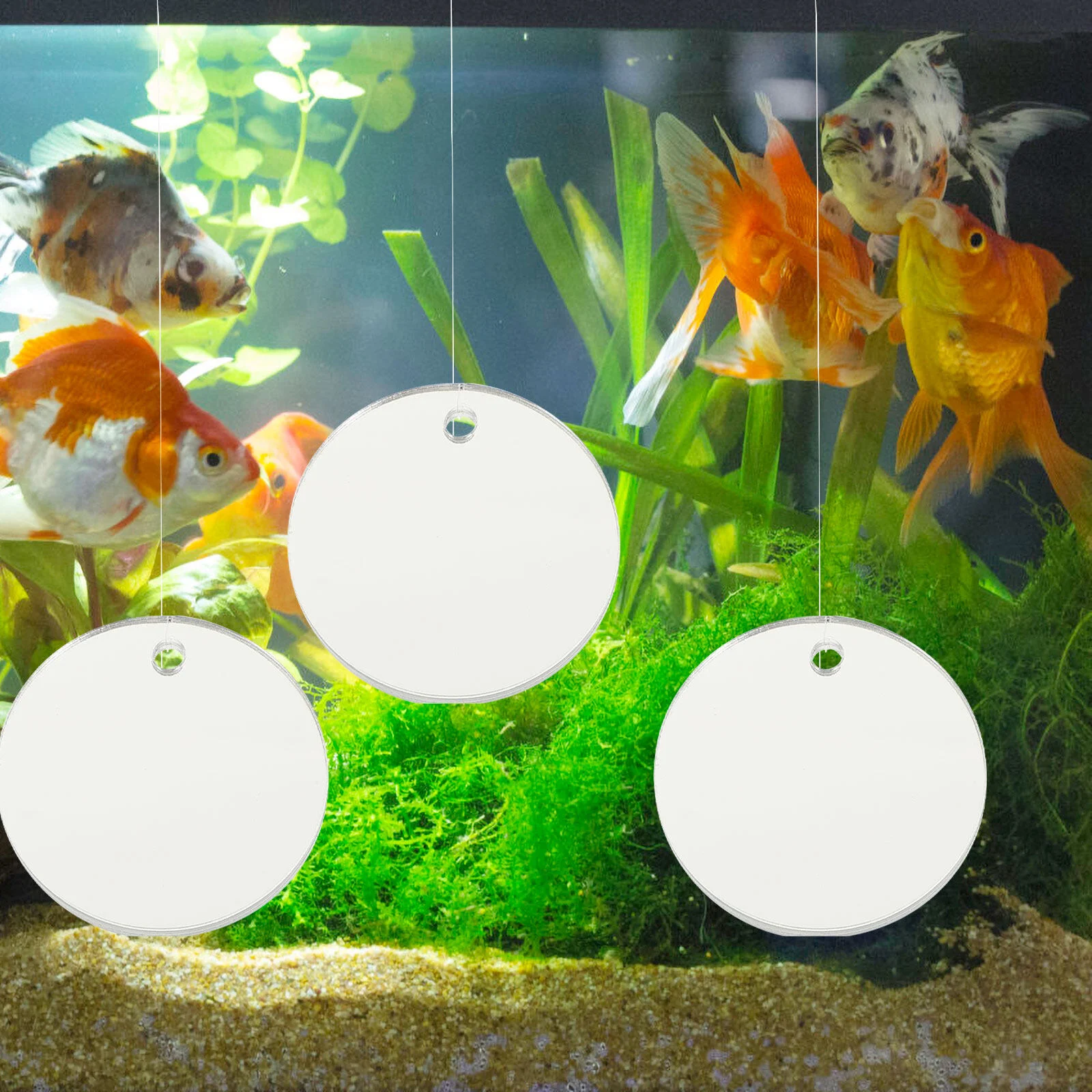 

4 Pcs Betta Training Mirror Glass Decor Tank Decoration Decorate Aquarium Mirrors Acrylic Fish Double Side