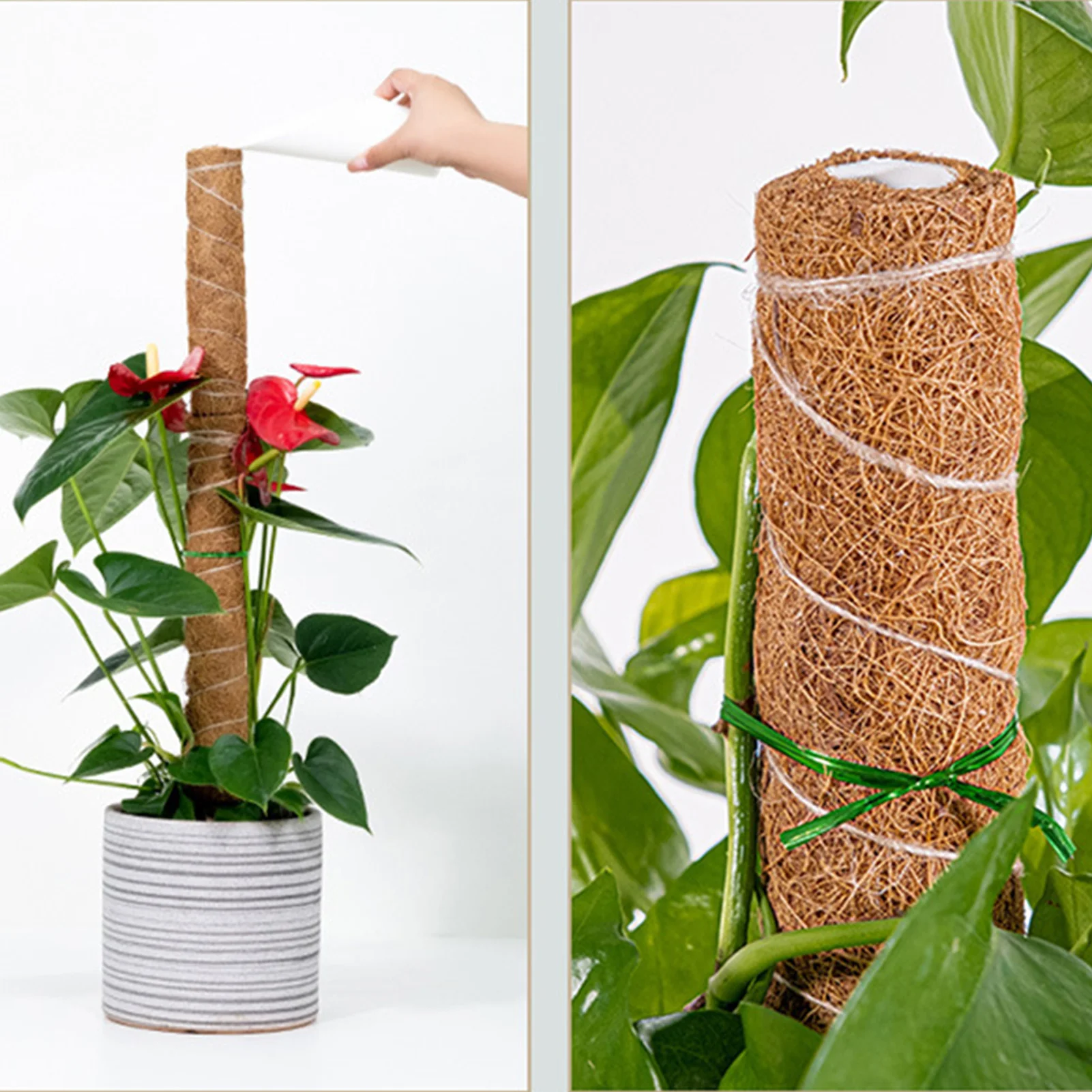 

Подставка для растений, столбик для мыха, 30/40/50 см