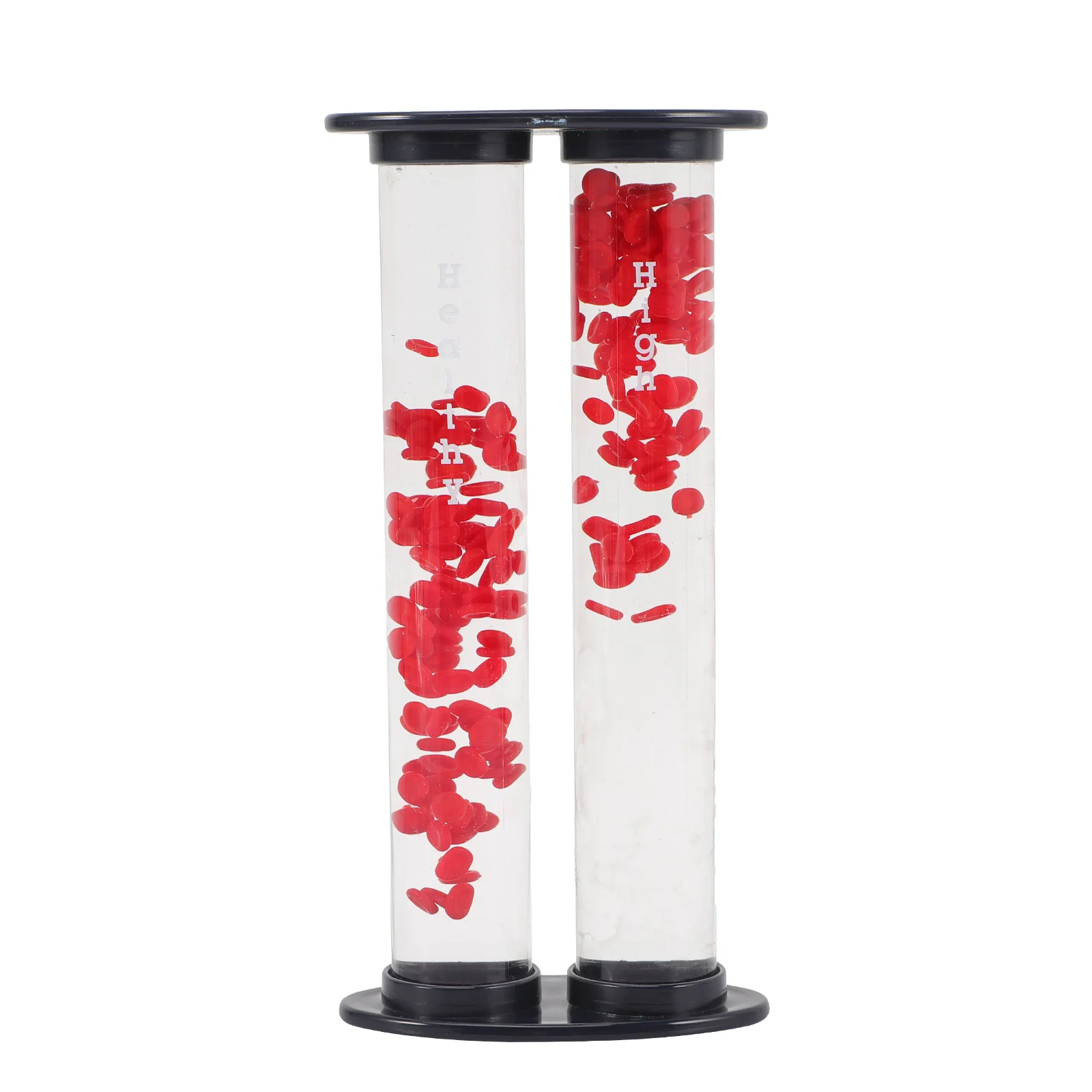 

Blood Vessel Model Display Blood Vessel Model Teaching Model