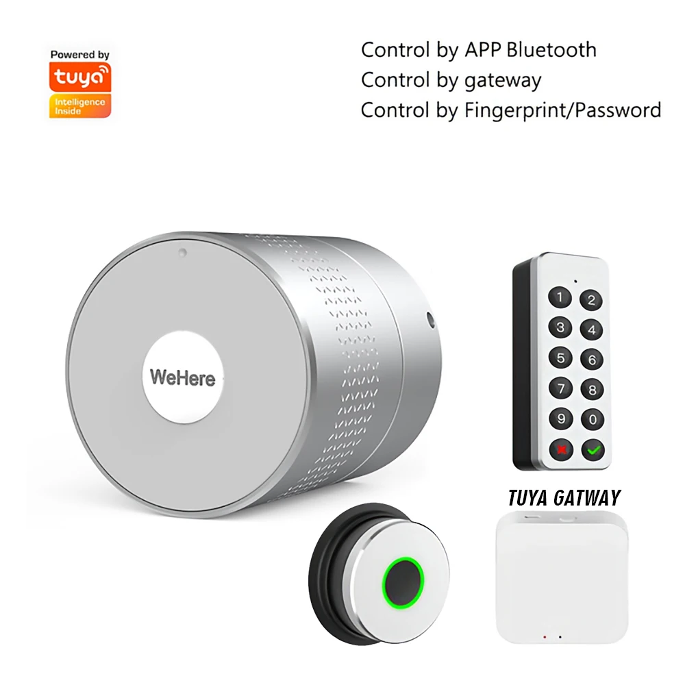 

Умный дверной замок SZJN Wehere M532 TUYA