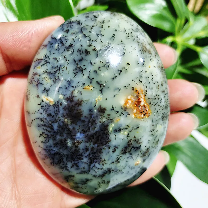 

Natural Opal Trees Water Grass Palm Stone Spiritual Healing Stone Home Feng Shui Crystal Decorations