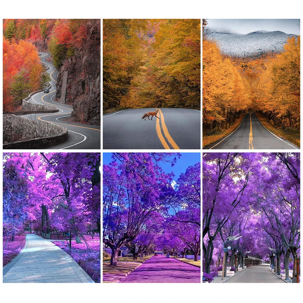 

5d алмазная живопись, дорога, уличное дерево, опавшие листья, полный квадрат, Круглый Алмазный пейзаж, украшение для гостиной, мозаика для тво...