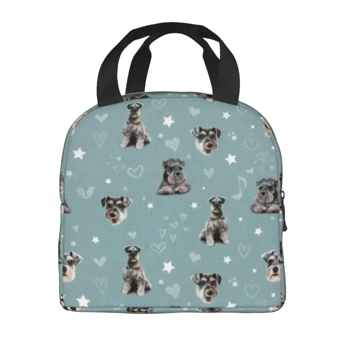 Миниатюрная изолированная сумка для обеда из полиэстера повседневная сумка-тоут