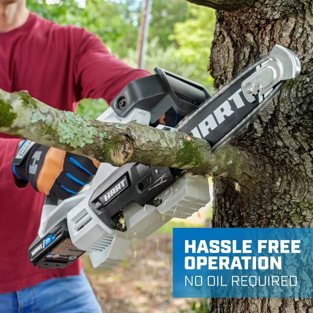 

20-Volt Pruner Saw (1) 20-Volt 2Ah Lithium-Ion Battery