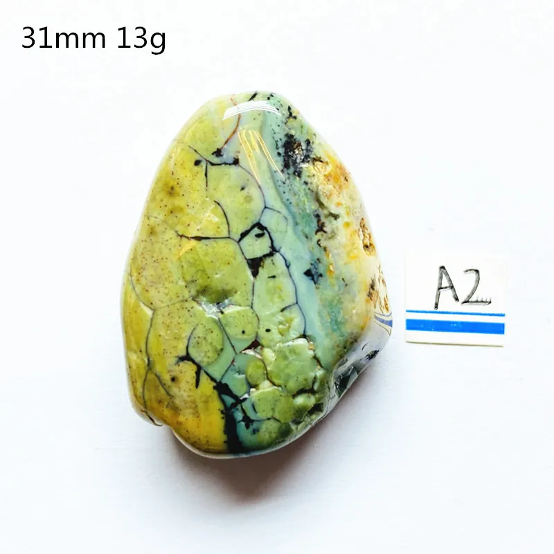 

Natural Marine jasper mineral specimen crystal healing home decor