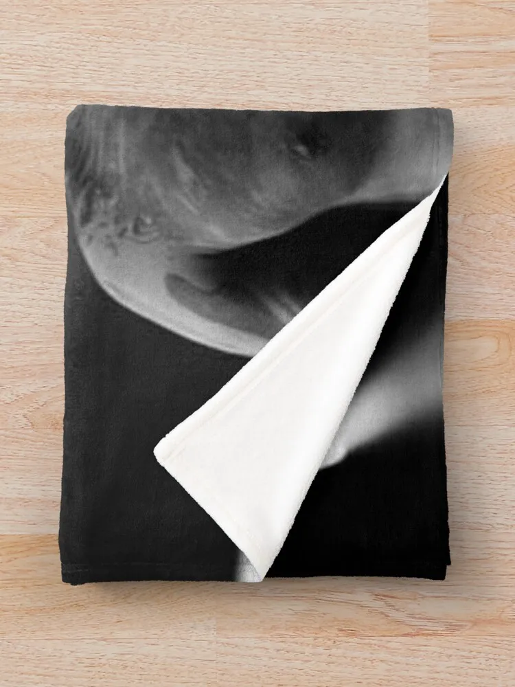 Фланелевое одеяло rauw alejandro