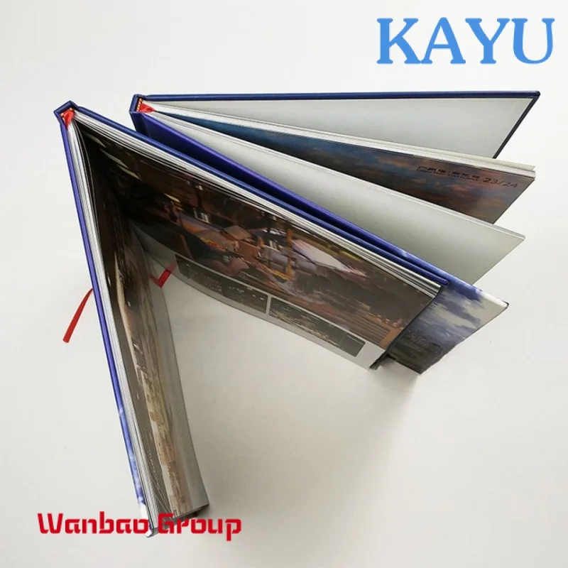 Рисунок 6 - Сервис печати книг