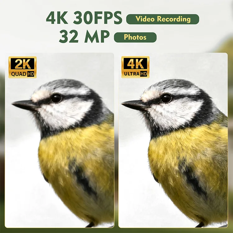 Фото Умная кормушка для птиц 4K с камерой, на солнечной энергии, с ИИ-распознаванием птиц, Wi-Fi, для наблюдения за птицами на улице, с управлением через приложение (OEM) №5