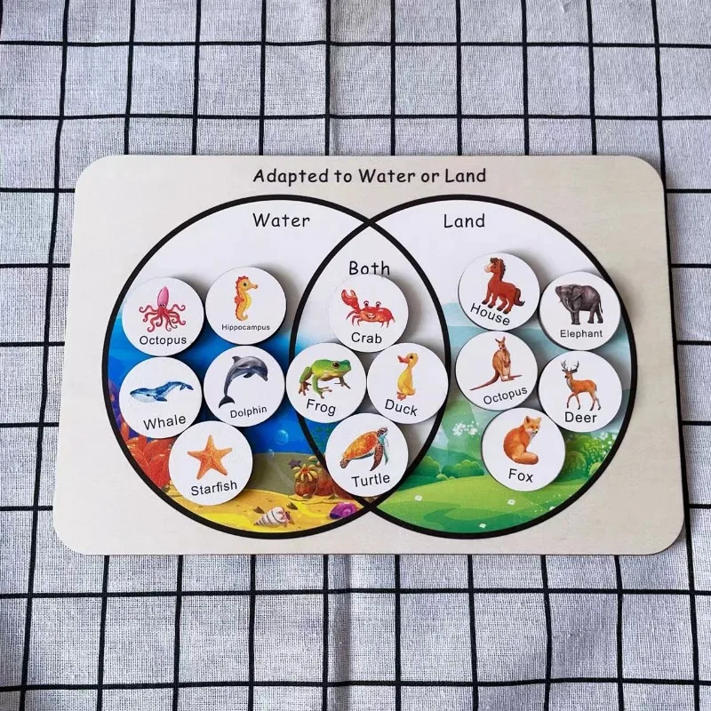 Деревянные морские термостойкие амфибии распределение окружающей среды