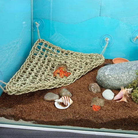 Гамак для рептилий из соломы