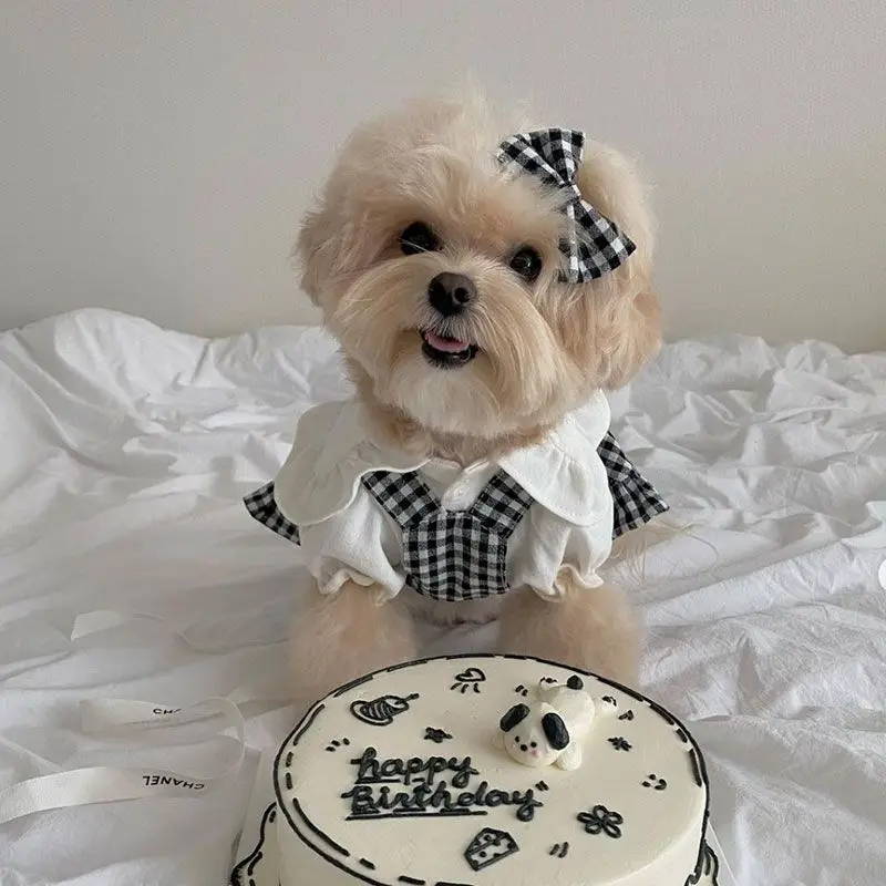 Рубашка в клетку платье на бретелях одежда для маленьких собак новинка