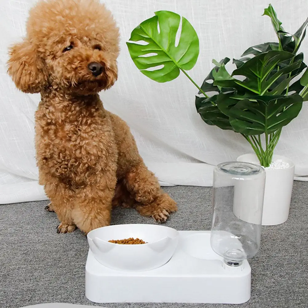 

Автоматический дозатор воды для домашних животных, поворотная двойная миска с поворотом на 15 градусов для кормления кошек и собак, поилка-ф...