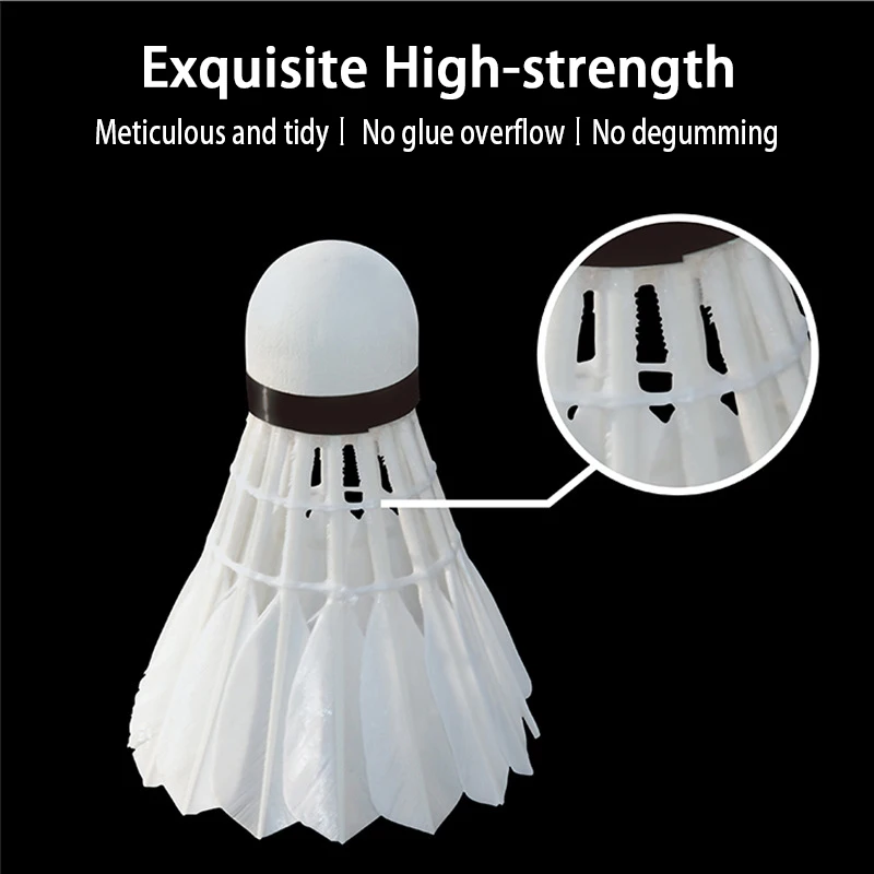 Рисунок 4 - Бадминтон для профессиональных