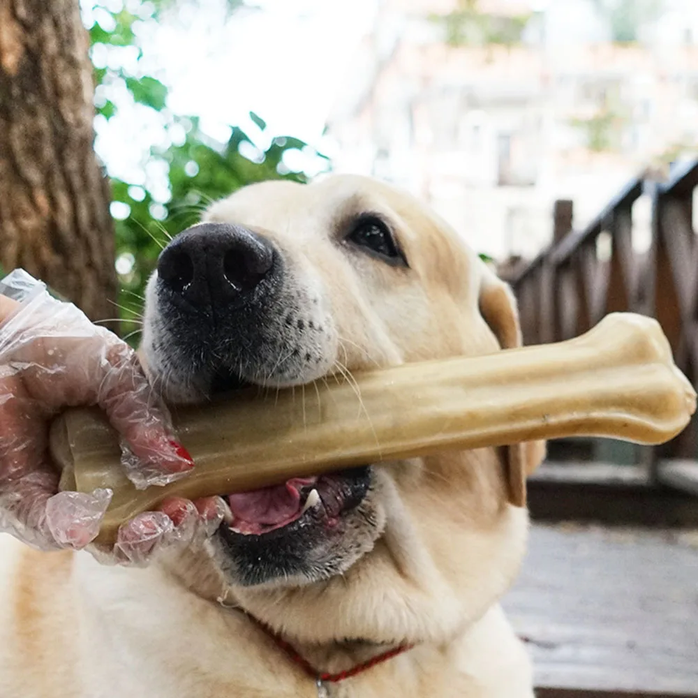 

Dog Toys Bones Natural Pet Chew Toothbrush Small Large Dogs Cowhide Treats Puppy Chewing Bone Toys For Dental Care Accessories