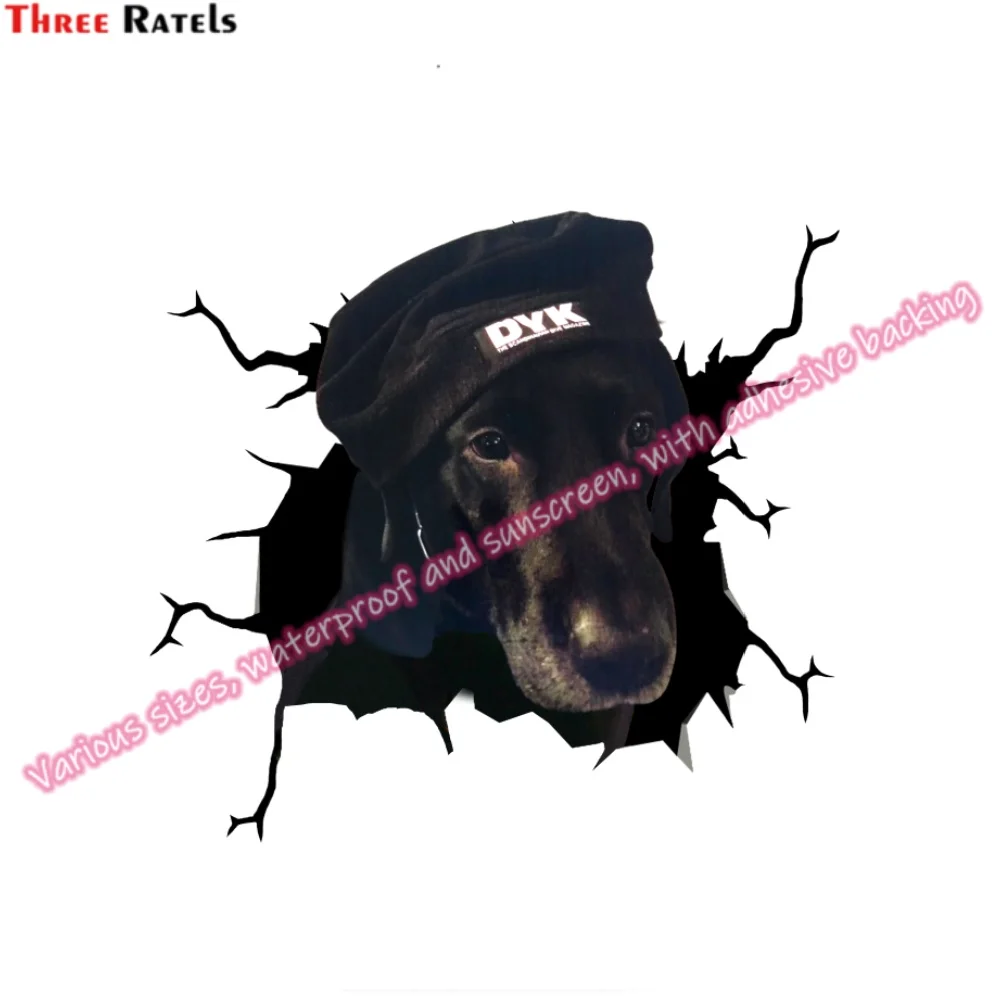 Автомобильные виниловые наклейки Three Ratels для Audi Q5 Аксессуары автомобилей Renault Megane