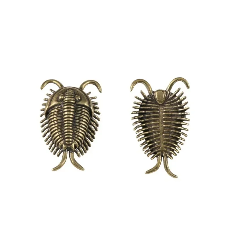Маленькая Медная Фигурка С Древним Камбрийским Tribrachia Дизайн Насекомых Украшения