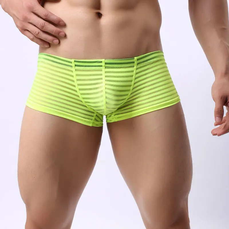 

Mesh Boxers Mens Transparent Underwear Cueca Sexy Low Waist Boxer Shorts Fashion Striped Thin Underpants Homme Panties Trunks