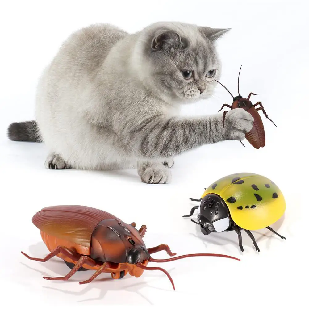 

Cat Electric Moving Fake Roaches Ladybeetles Toy Intelligent Induction Interactive Toys For Indoor Cats