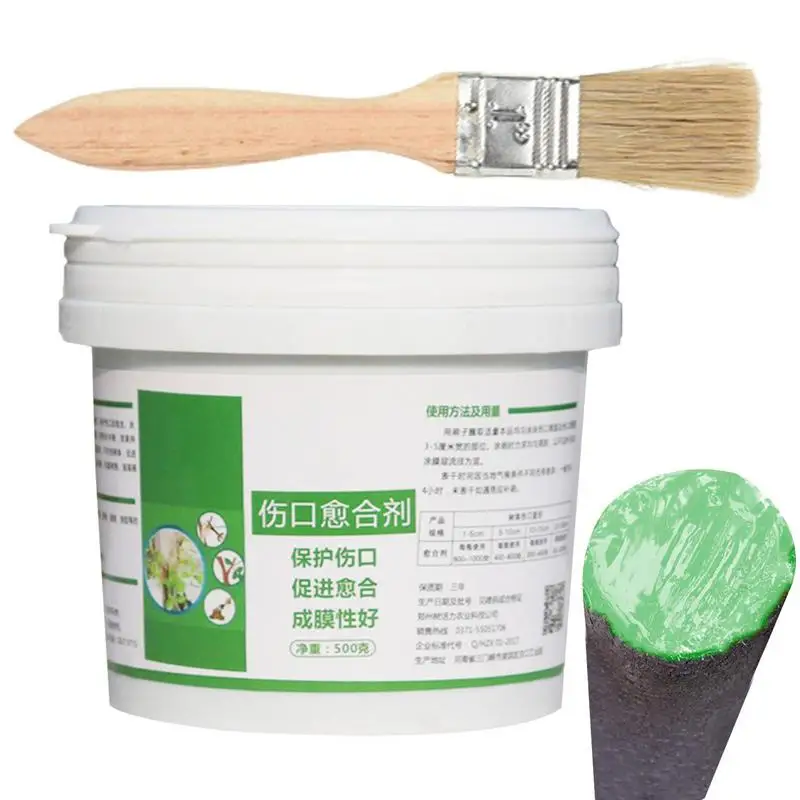 

500g Bonsai Pruning Cutting Paste Tree Pruning Sealer Pruning Compound For garden plant grafting and wound Repair Tools&Brush