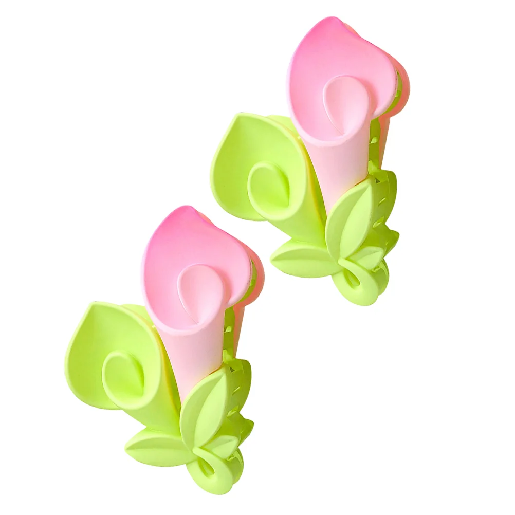 

Hair Claw Clip Clips Flower Jaw Girls Teen Floral French Clamps Barrettes Hold Stuff Claws Accessory Grips Modern Spiral Styling