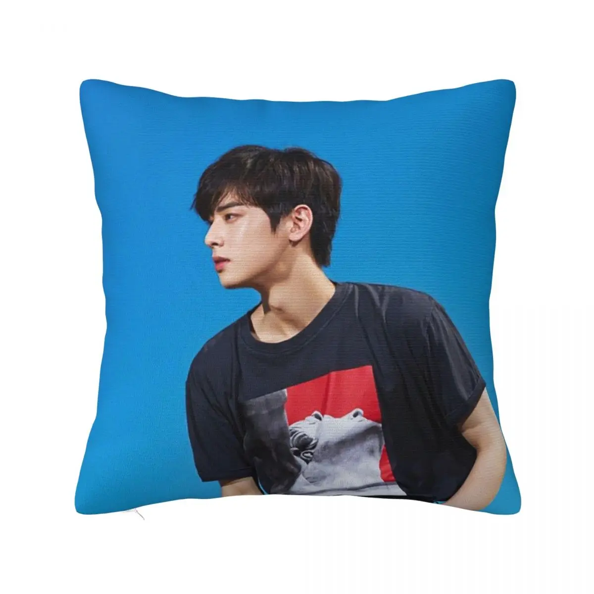 

Мягкий чехол для подушки Cha Eunwoo, Подарочный чехол для подушки в Корейском стиле Idol Group, аниме, наволочка для подушки, домашняя Прямая поставка...