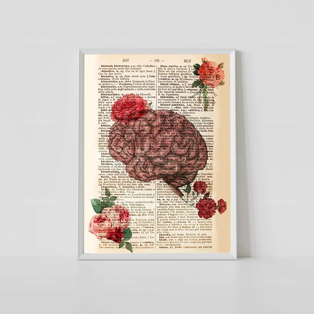Фото Сердце, тело, череп, отпечаток мозга, легкие, анатомия, медицинское искусство, винтажные страницы книг, печать из словаря, плакат-энциклопедия №1