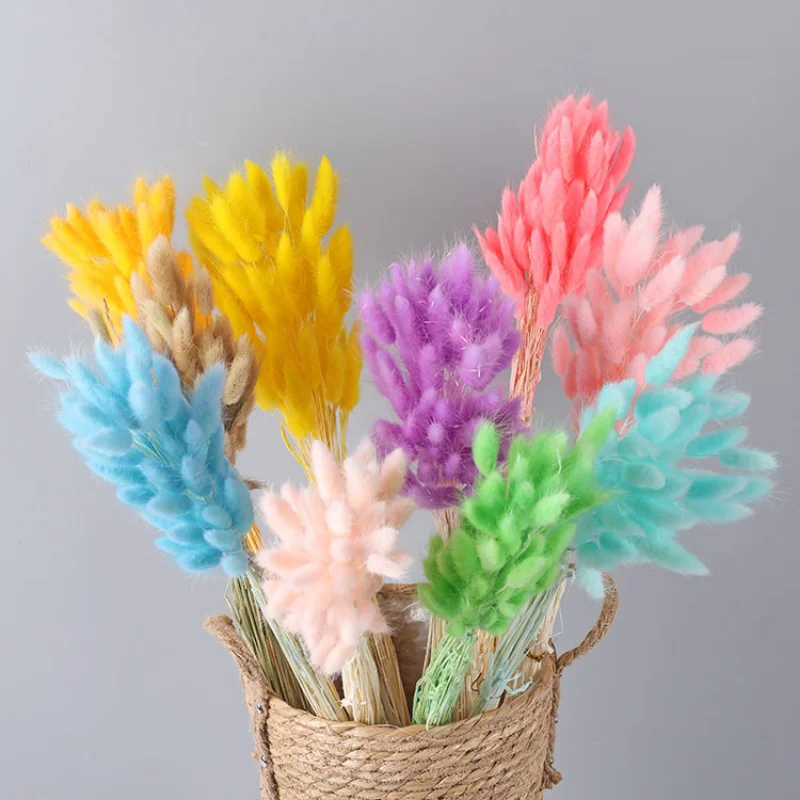 

30Pcs Fluffy Pampas Dried Flowers Bouquet Home Decor Natural Bunny Rabbit Tail Grass Artifical Flower Wedding Party Decoration