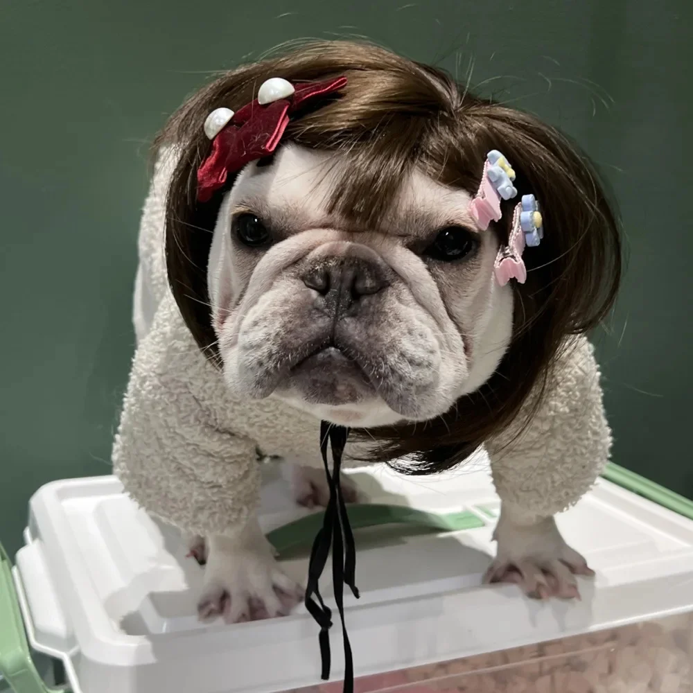 Парики для домашних животных реквизит косплея забавные собаки кошки