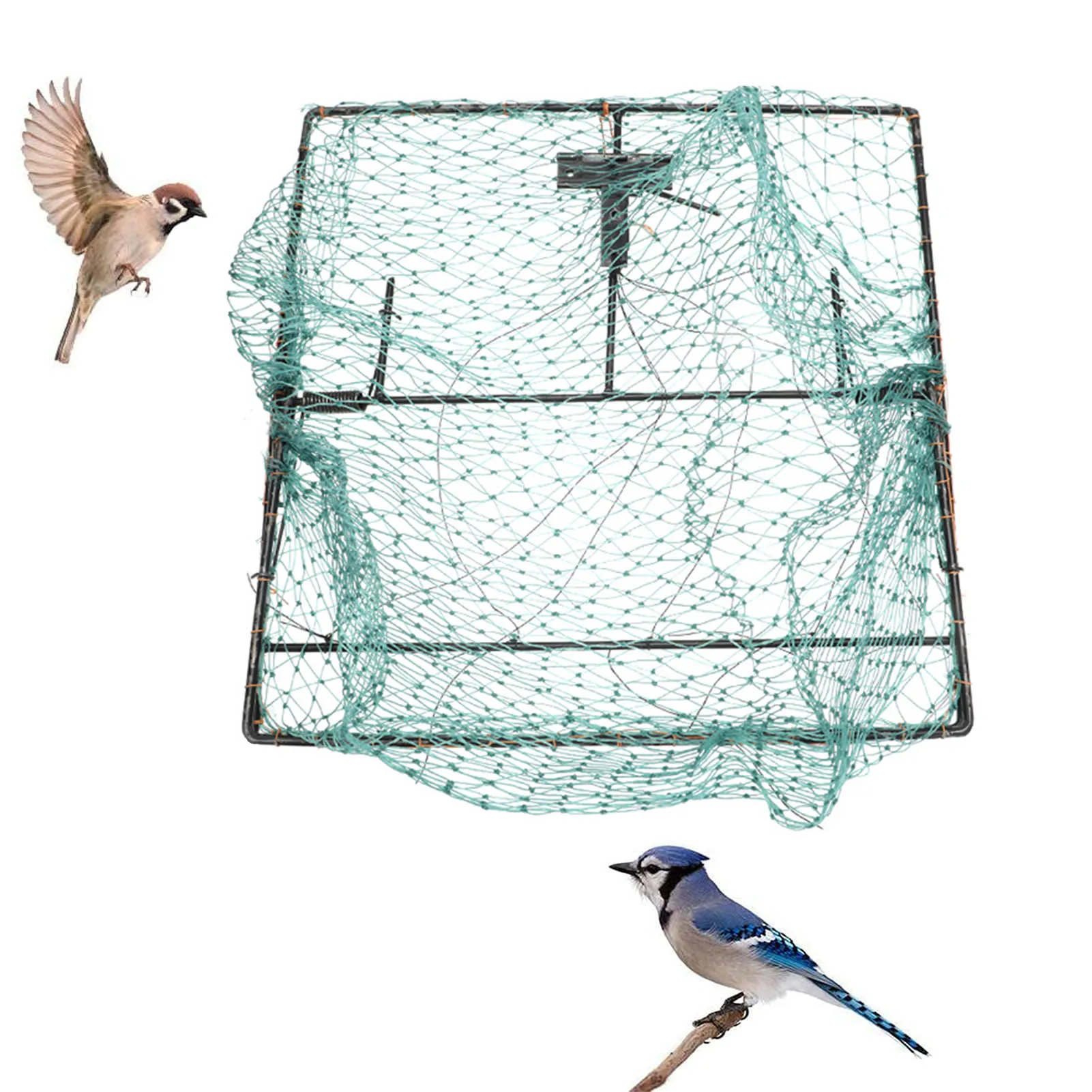 

Bird Hunting Net Trap Effective Humane Live Small Birds Trap Quail High-Quality Humane Trapping Hunting Garden Supplies for