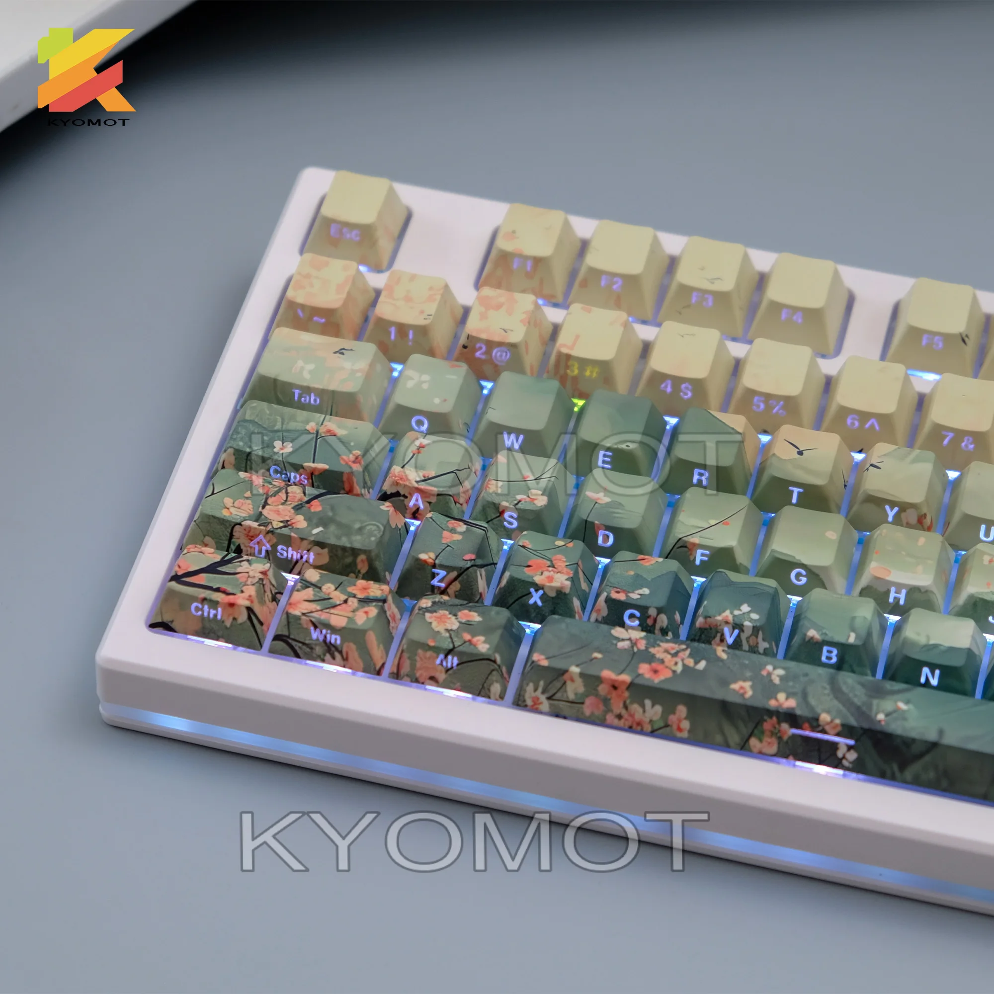 135 клавиш/набор тема раскраски тушью колпачки для клавиш из ПБТ с двойным