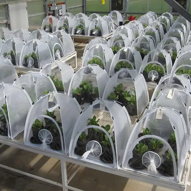 

Многофункциональная изоляция растений, садовый Тепличный складной мини прозрачный Тепличный садовый набор из ПВХ для теплой комнаты