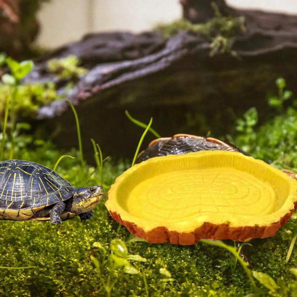 

Rock-shaped Bowls Food Water Bowls for Versatile Accessories Stump Ring Feeding Bowls Aquascape Decoration Climbing for Lizards