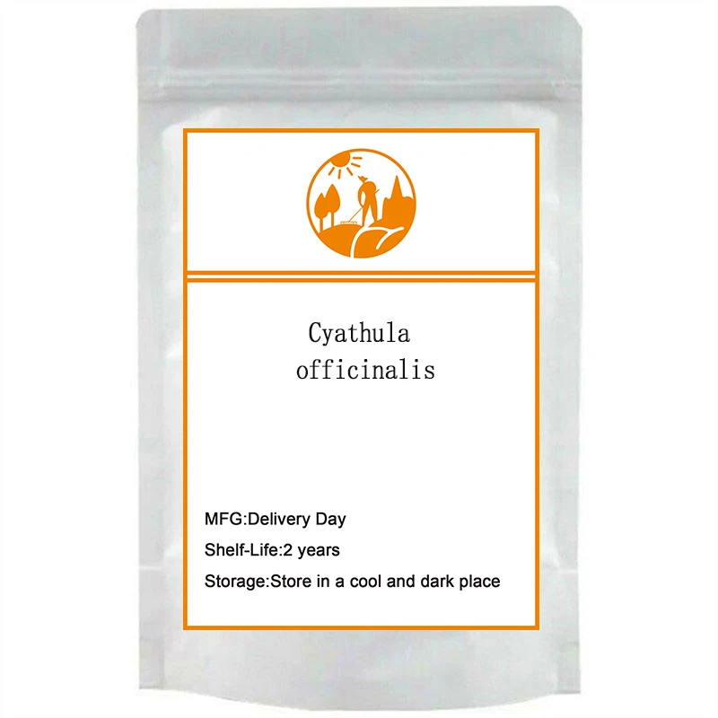 

free shipping Cyathula officinalis extract Medicinal Cyathula Root powder dissolved in water 10:1