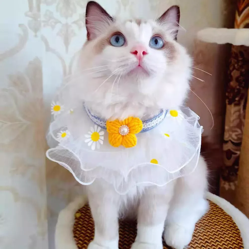 

NEW 4 Sizes Adiustable Floral Cat Dog Collar Organza Pet Bows Lace Bibs Pearl Temperamen Chain Necklace Puppy Grooming Accessori