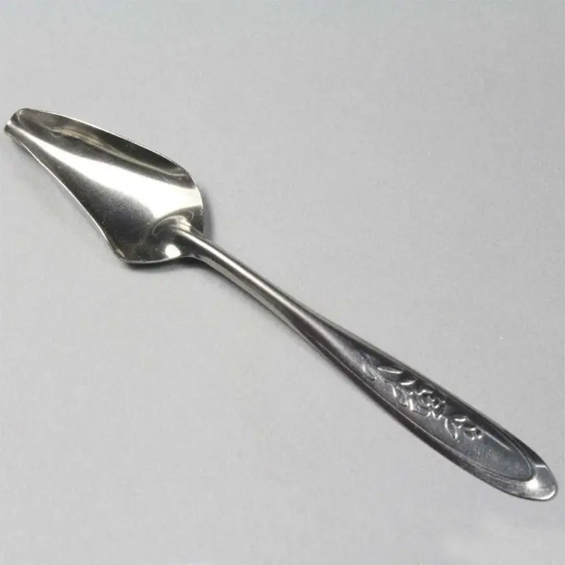 

5Pcs Baby Bird Pointed Feeding Spoon Stainless Steel Milk Medicine Parrot Feeder