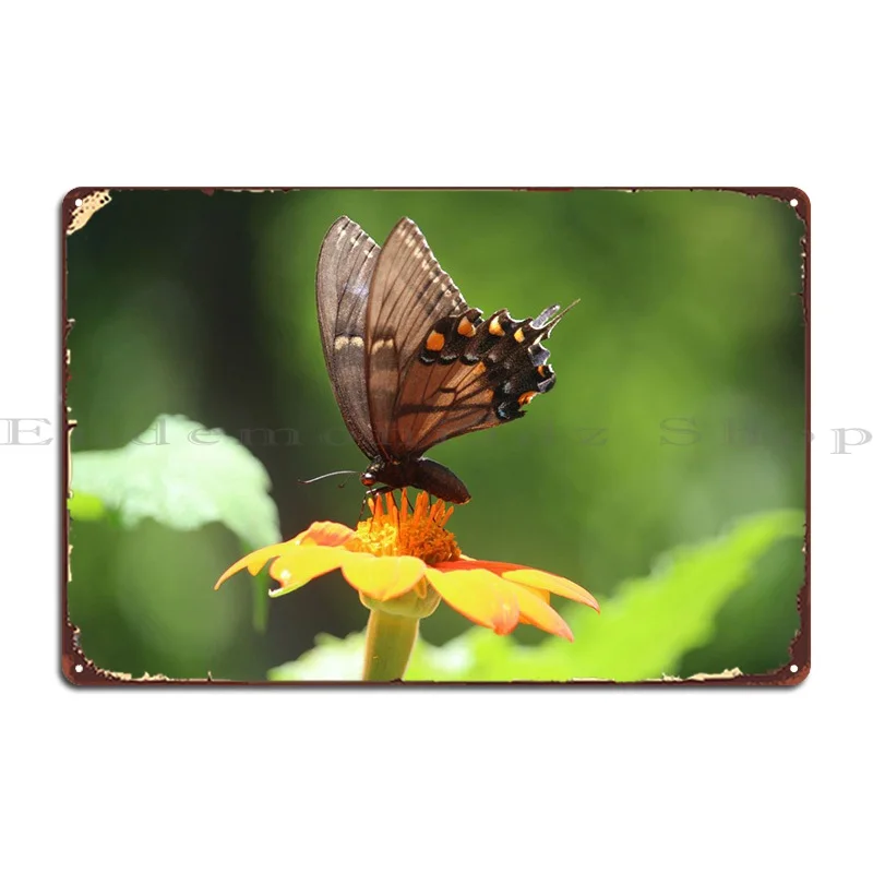 

Красивый металлический плакат с бабочкой, Настенный декор, фотообои, Декор, фотография