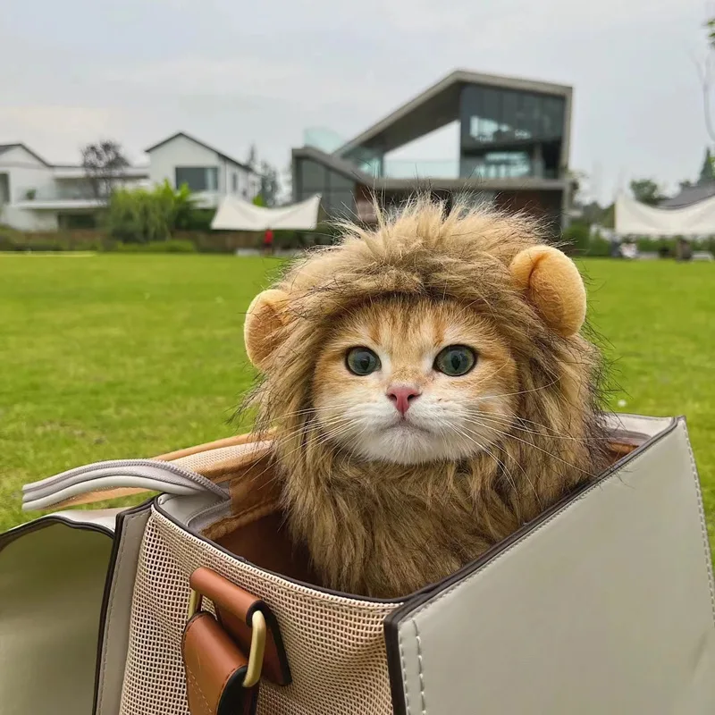 Парик для кошек и львов Забавный костюм щенка косплей на Хэллоуин одежда Милая