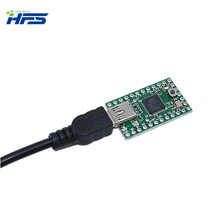 Рисунок 2 - Официальная Teensy 2