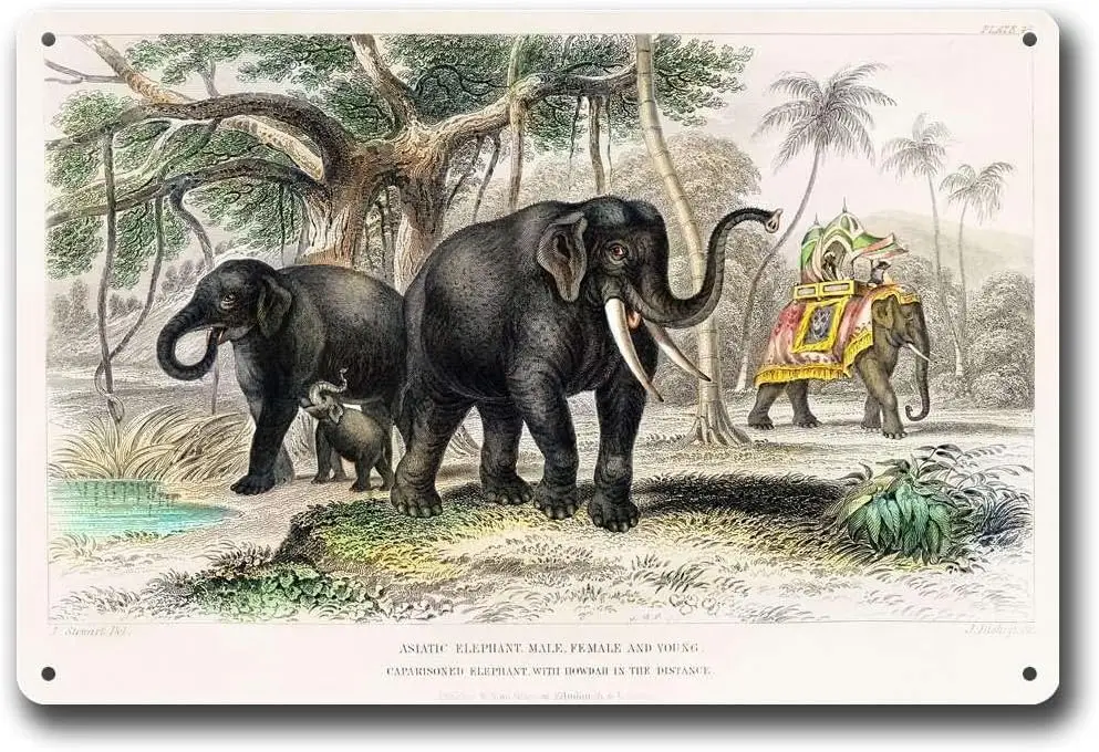 Металлические жестяные знаки Азиатский слон и Африканский винтажный