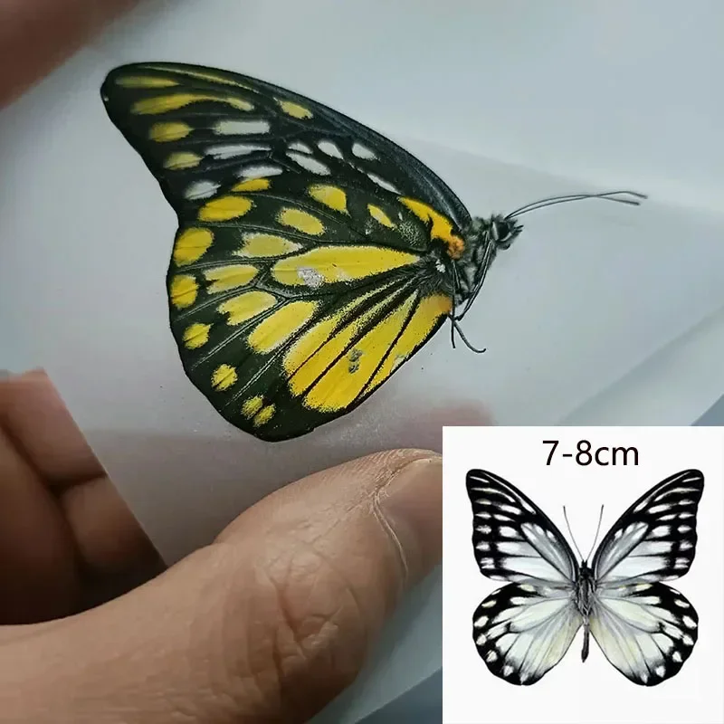 Незакрытые настоящие образцы бабочек подходящие для ручной работы семейная