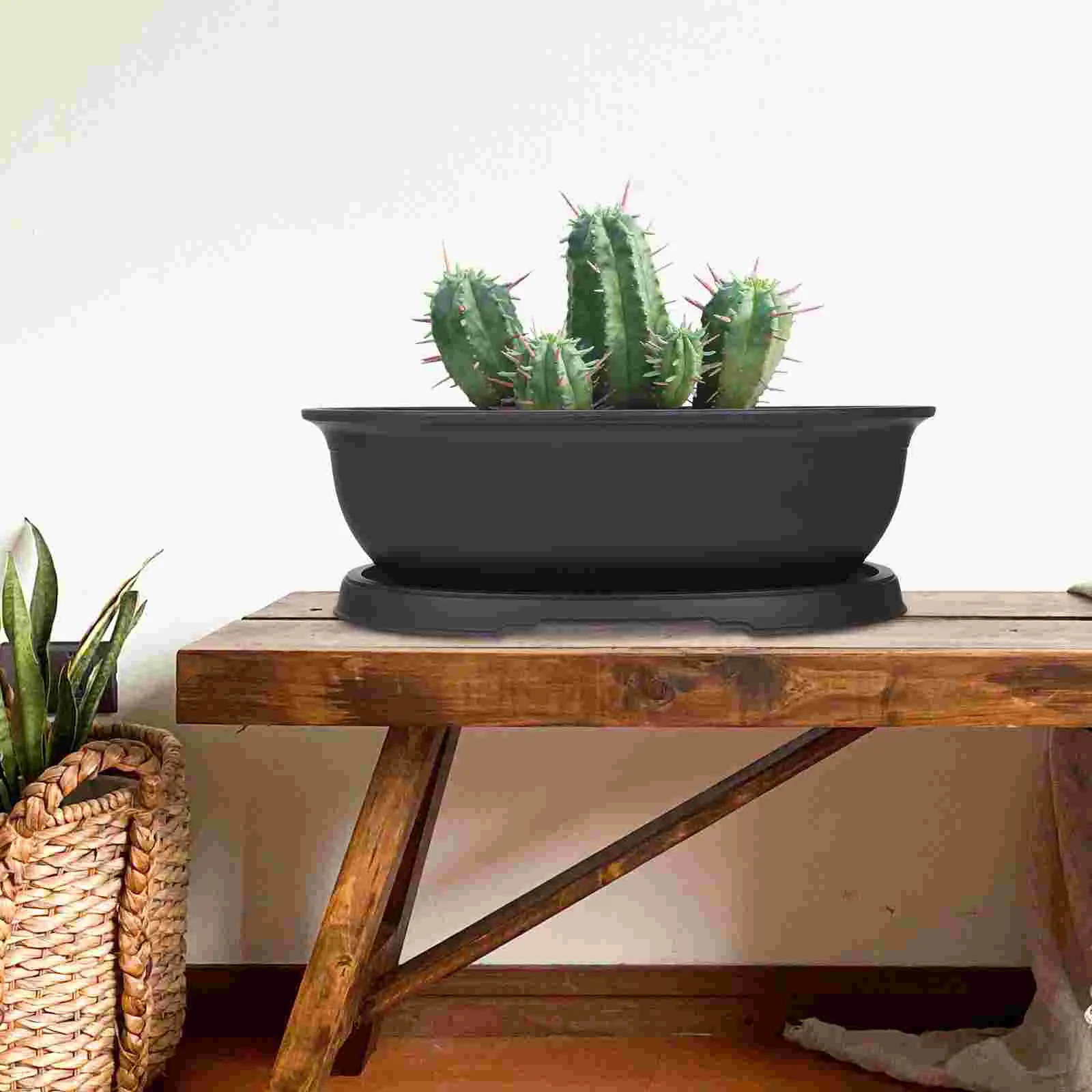 Овальный горшок бонсай цветочные горшки для деревьев контейнер суккулентов в