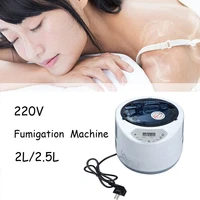 sauna generator home steamer pot for sauna spa tent body therapy fumigation machine therapy suitable for kitchen 2 02 5l