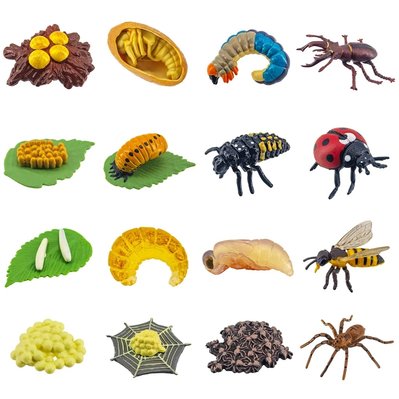 

16 PCS Life Cycle Figures Of Bee, Stag Beetle, Ladybug, Spider Early Education Animal Figures,Educational Kids Toys